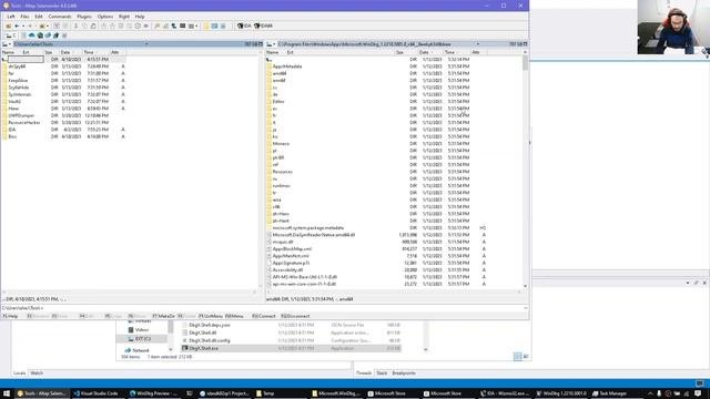 Debugging With IDA: Setting Up IDA For Use With Windbg's Debugger Engine