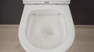 Spirit V2.0 подвесной безободковый унитаз FlashClean