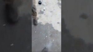 Iveco Stralis Ивеко Стралис на ремонт передней подвески и замену компрессра