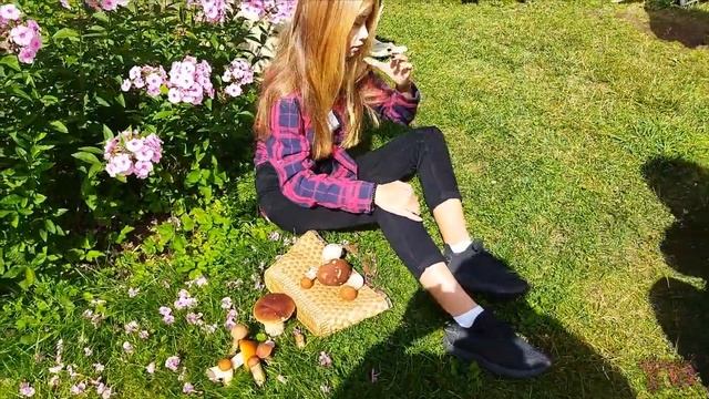 КАРЕЛИЯ, МЫ ИДЕМ ПО ГРИБЫ, ГРИБНАЯ ФОТОСЕССИЯ, ГОТОВИМ ШАШЛЫКИ НА ДАЧЕ смотреть онлайн