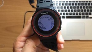 Garmin forerunner 225 - Service Menu