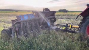 Теребление льна долгунца. Уборка 2024