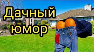 Дачные приколы: зарядите себя хорошим настроением!