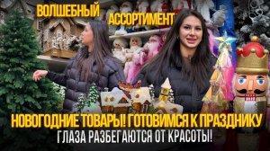НОВОГОДНИЕ ТОВАРЫ✨ГОТОВИМСЯ К ПРАЗДНИКУ🎀ГЛАЗА РАЗБЕГАЮТСЯ ОТ КРАСОТЫ🎉Рынок Садовод Москва