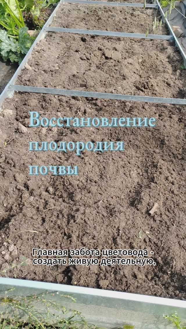 Как улучшить почву: восстановление плодородия почвы.