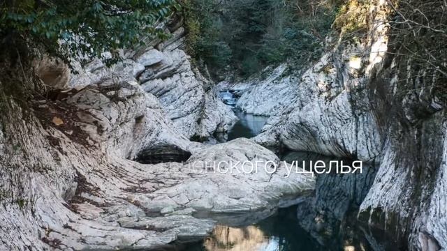 Туры по Сочи смотреть онлайн