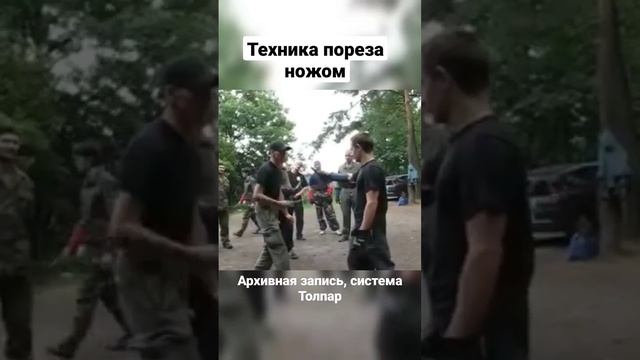 Техника пореза ножом. Система Толпар. #shorts смотреть онлайн