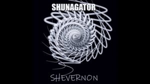 Shunagator- The glance from the broken window