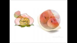 Plants vs. Zombies All Stars [All Plants in Real Life]