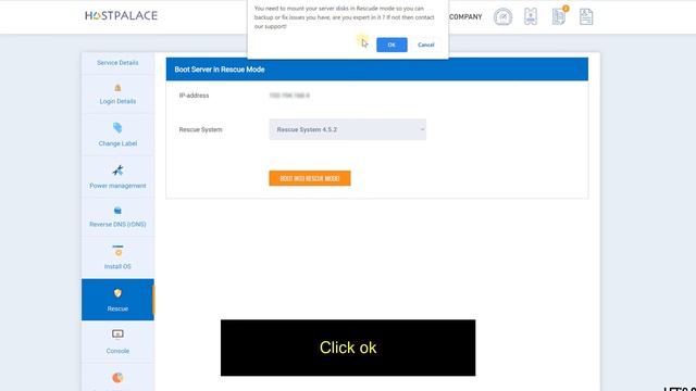 Boot HostPalace Server Into Rescue mode смотреть онлайн