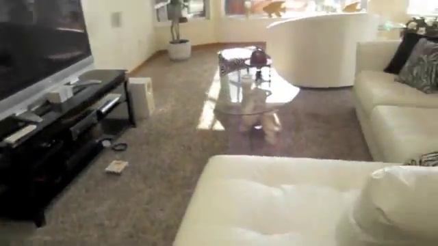 Video log 2, Cape Coral, Florida смотреть онлайн