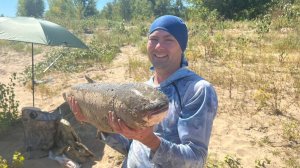 ЭТИ МОНСТРЫ ПЫТАЛИСЬ СЛОМАТЬ УДОЧКИ! БЕШЕНЫЙ КЛЁВ АМУРА И САЗАНА НА ДИКАРЕ!