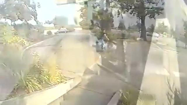 THEM APPLES Montage 3 смотреть онлайн