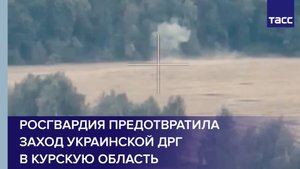 Росгвардия предотвратила заход украинской ДРГ в Курскую область