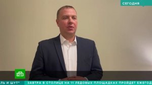 В Москве появились гигантские голуби!