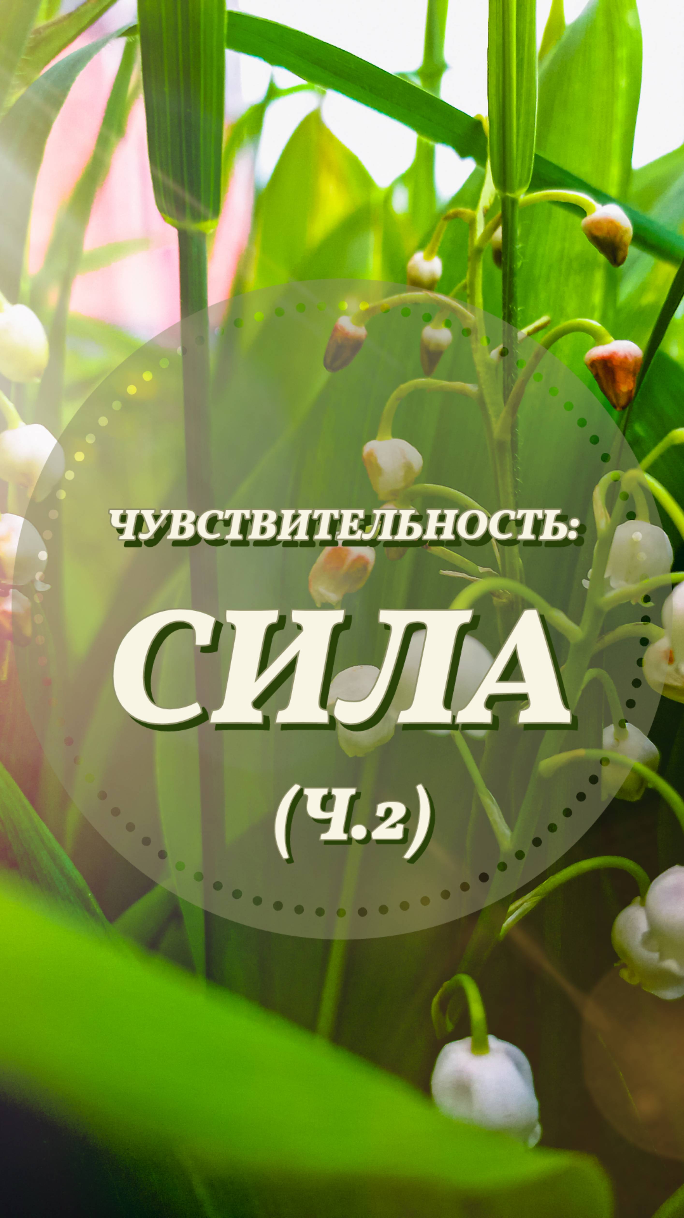 В чём...чувствительность, брат? (Ч.2) #shorts