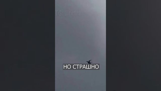 подпишись🙏.mp4