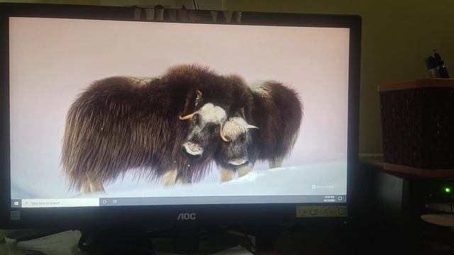 windows 10 no icon files not working taskbar and task manager solve problem saggest me смотреть онлайн