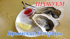 Пробуем Крымские Устрицы Устричная ферма Донузлав Новоозёрное 2022