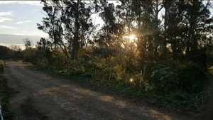 Driving Land Rover Forward control