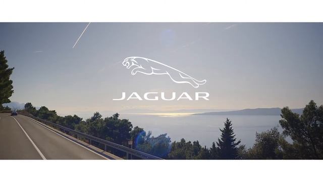 NEW Jaguar XF Saloon and XF Sportbrake ( 2021-2022) смотреть онлайн