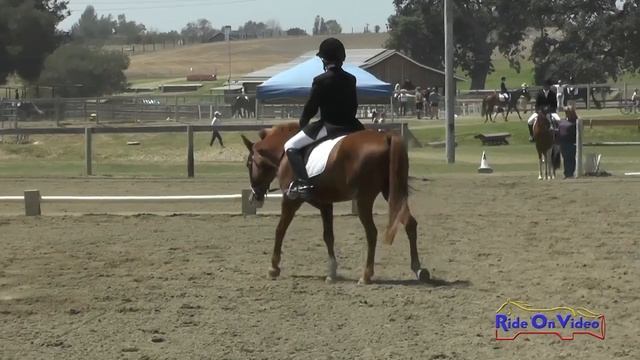 124D Maxine Strachan on Sticker Shock Intro Dressage Shepherd Ranch August 2015 смотреть онлайн