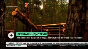 На Уфимском фанерно-плитном комбинате запустили две линии фанерного производства