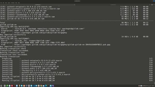 Как установить GitLab на Oracle Linux 9.3