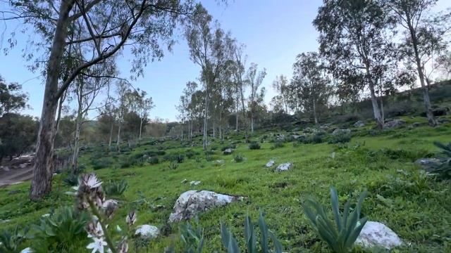 Iphone 15 pro max camera #nature смотреть онлайн