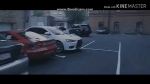 Мияги и Эндшпиль (колибри)