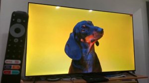 Купил китайский телевизор ifalcom iFF65Q72 и забыл про Samsung и lg смотреть всем!!!