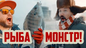 Рыбалка на рыбу Монстра на АЭС; Тилапия и радиация !#рыбалка #Удомля #мутанты #рыба