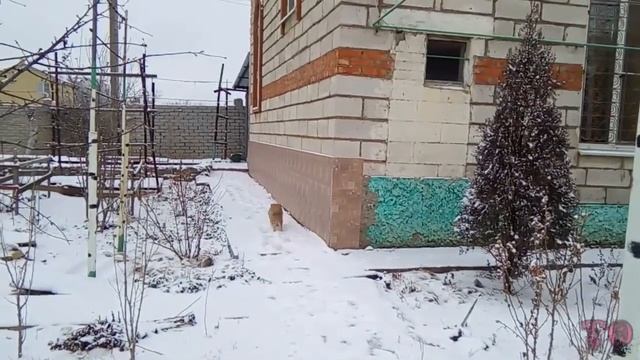 ЗИМА, ПЕРВЫЙ СНЕГ, ДЕЛАЕМ СНЕГОВИКА, 2020 смотреть онлайн