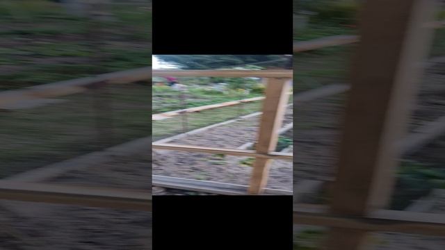 покрытие старых стен дачи