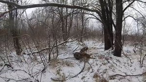 Охота на Кабана 2019. Экшн камера