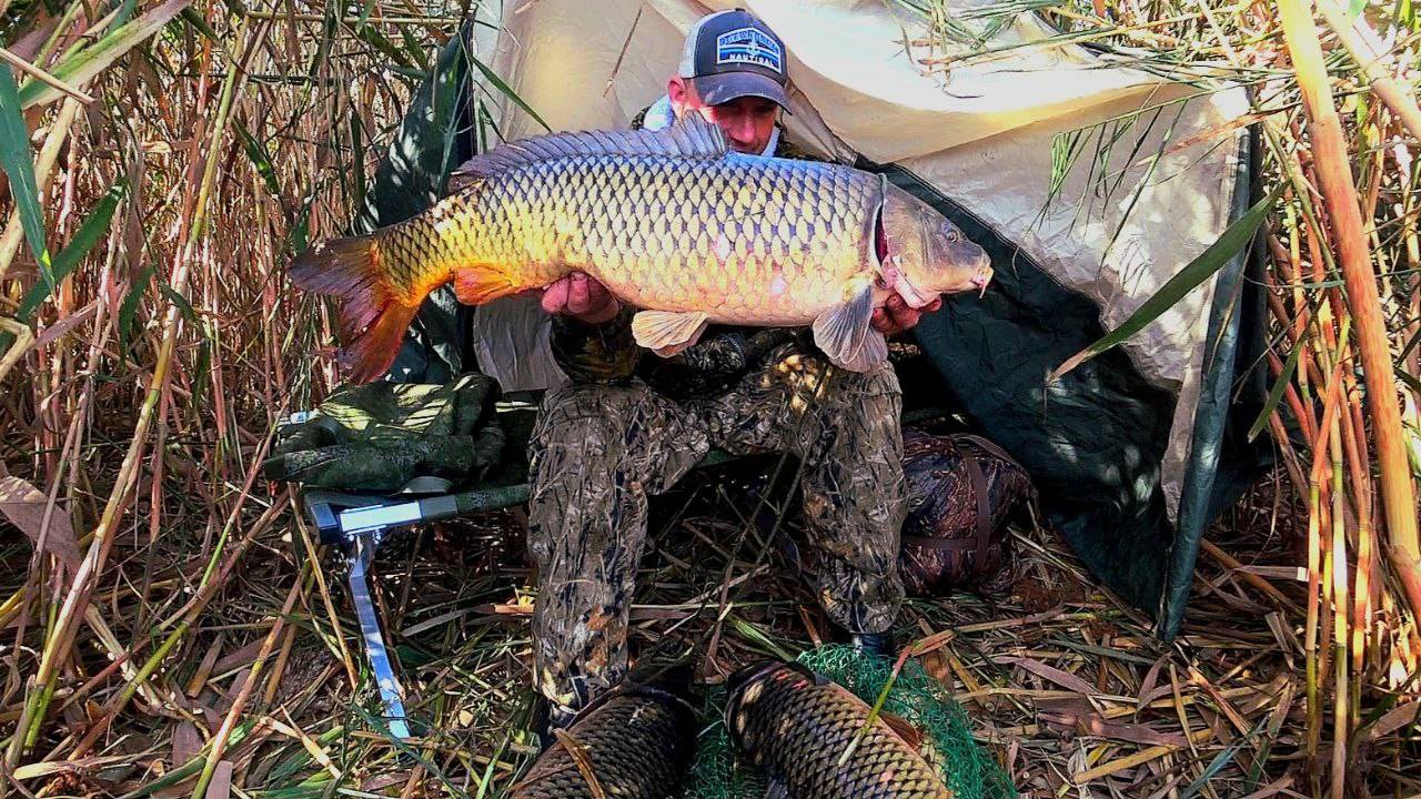 БЕШЕНЫЕ САЗАНЫ ГНУТ ПАЛКИ В ДУГУ! РЫБАЛКА ПО ХОЛОДУ. ЗАБРАЛСЯ В САМУЮ ДИЧЬ И ПОПАЛ НА ЖОР