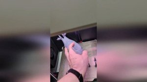 печать орел светильник на 3д принтере.