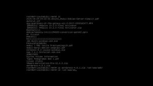 Membuat Database Server dan Web Server di Debian 6