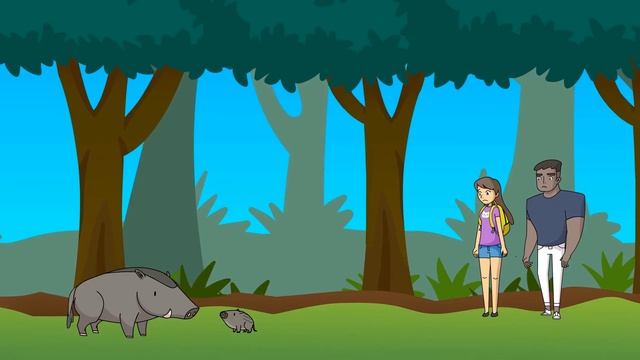 Ep 6 | Boar-ther with these tips to be good neigh-boars with nature
