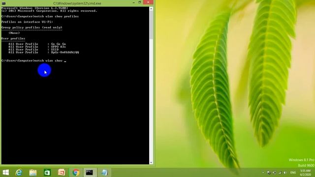 Wifi Password Hacking