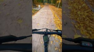 Осень #октябрь #october #осень #autumn #Калининград #велосипед #velo #bike #bicycle