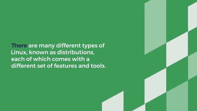 Linux Distributions: Discover the Most Popular Options for Your Next Project!