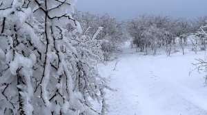 Однажды... В декабре... - Relax video