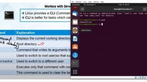 pwd,echo,clear,sudo commands | Basics of LINUX | Part 1