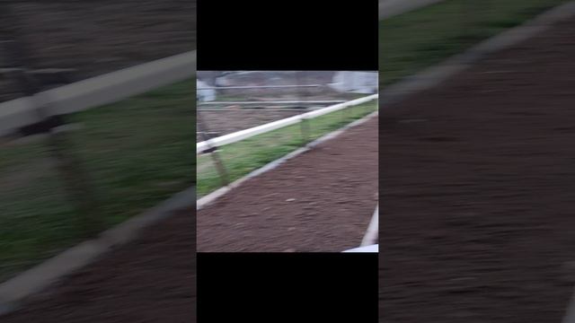 Выходные на даче 2023