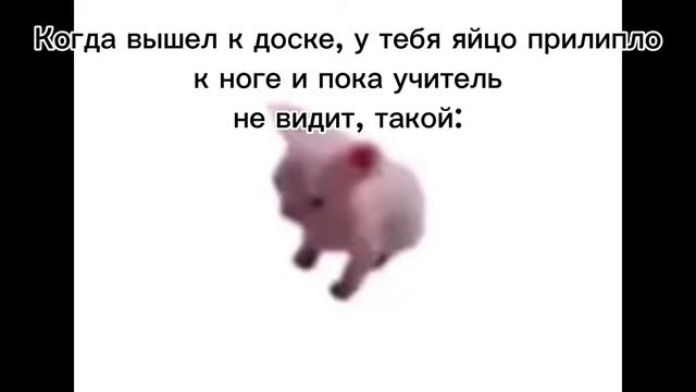 когда яйцо к ноге прилипло: