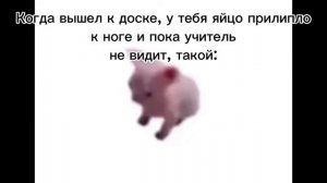когда яйцо к ноге прилипло: