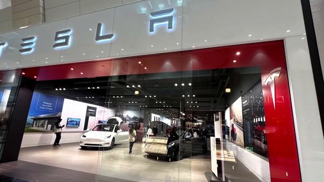 Tesla Showroom Washington Square Mall смотреть онлайн