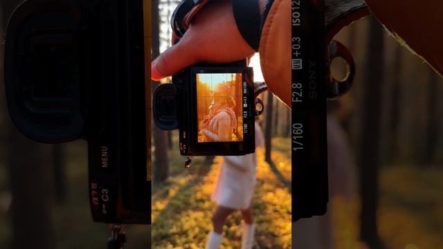 * Ловим осеннее настроение и солнце ☀️  / фотограф из Омска Андрей Беляев