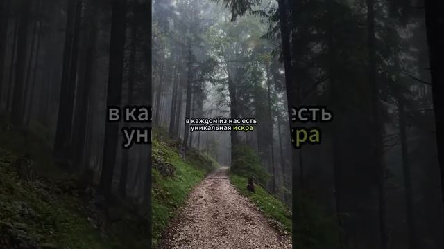 Почему Быть Собой — Это Самое Сложное, Но Важное Решение? #shorts #притча #принятиесебя #мотивация